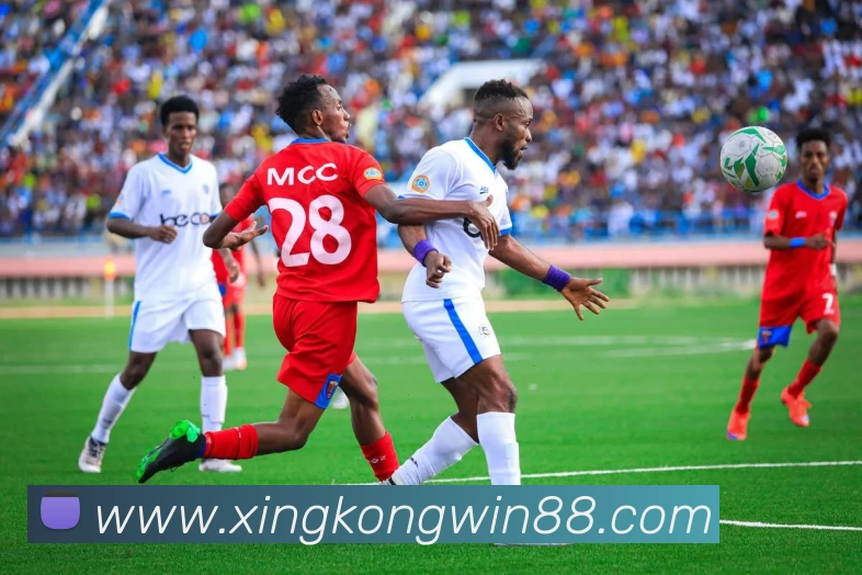 星空体育发展历程